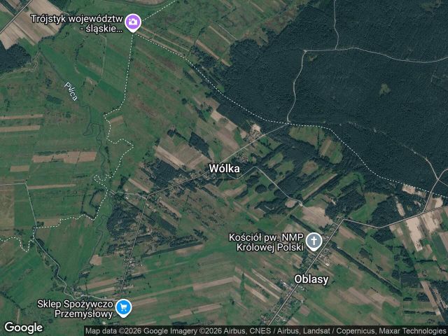 Działka leśna Wólka. Zdjęcie 1