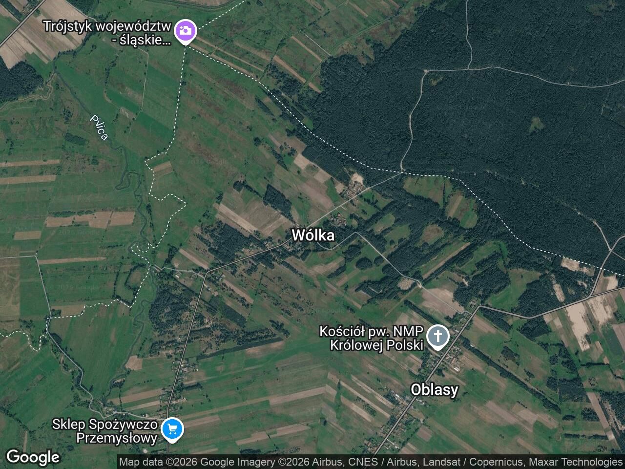 Działka leśna Wólka. Zdjęcie 1