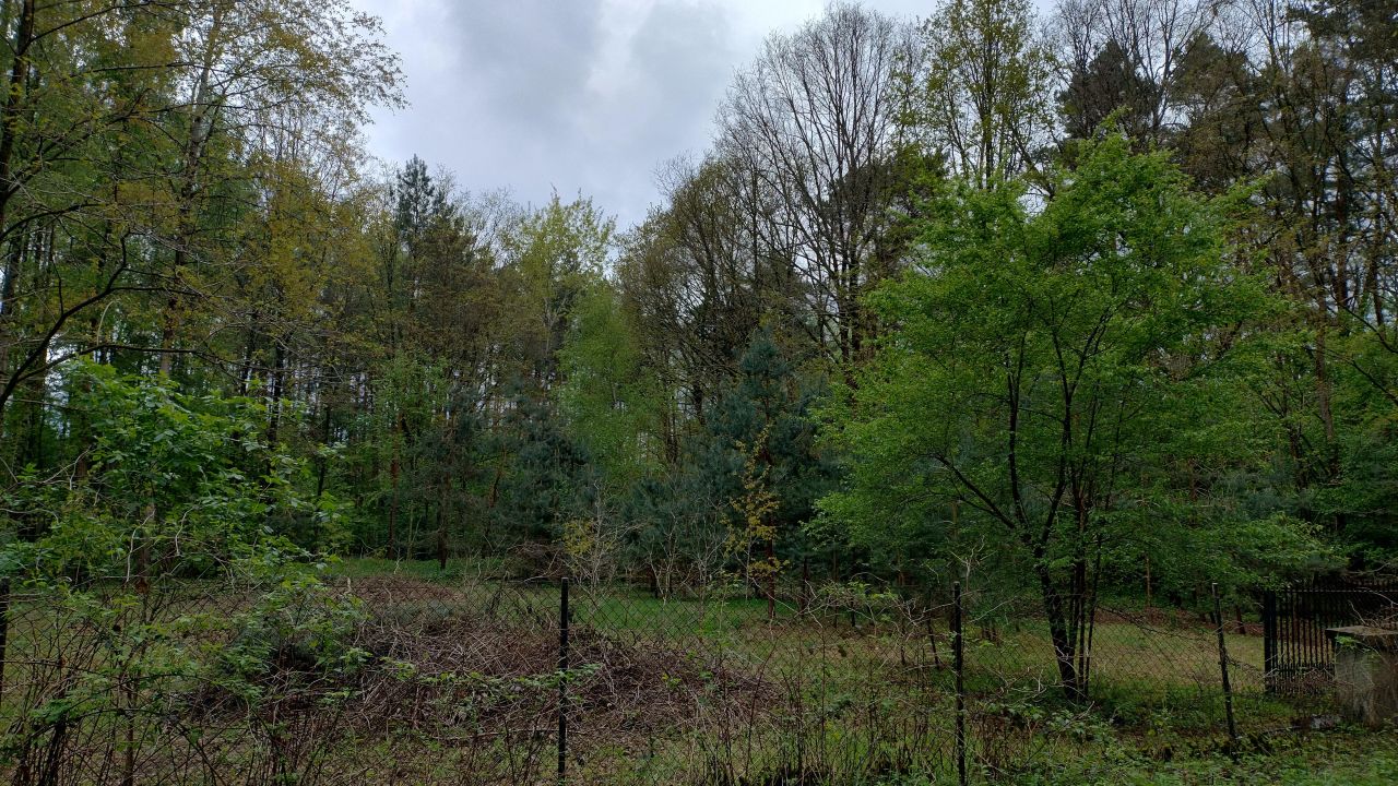 Działka budowlana Zofiówka, ul. Cmentarna. Zdjęcie 13