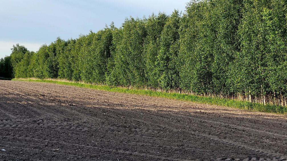Działka rolna Adamowa Góra. Zdjęcie 8
