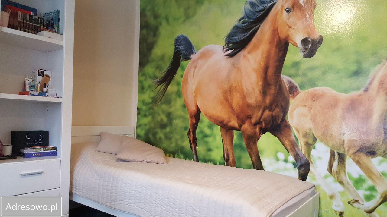 dom wolnostojący, 6 pokoi Gliwice Brzezinka, ul. Kozielska. Zdjęcie 6