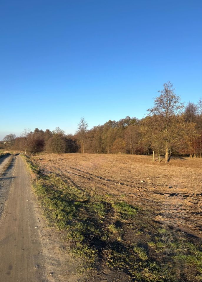 Działka siedliskowa Malczów. Zdjęcie 3