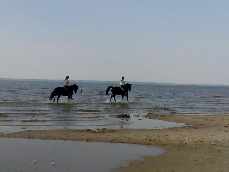 dom wolnostojący, 6 pokoi Kadyny. Zdjęcie 29