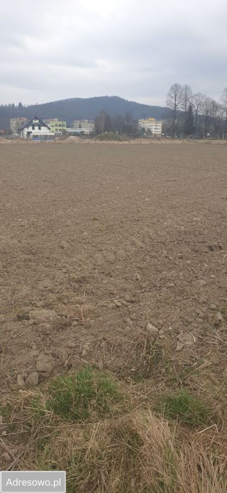 Działka budowlana Ołdrzychowice Kłodzkie, ul. Sportowa. Zdjęcie 3
