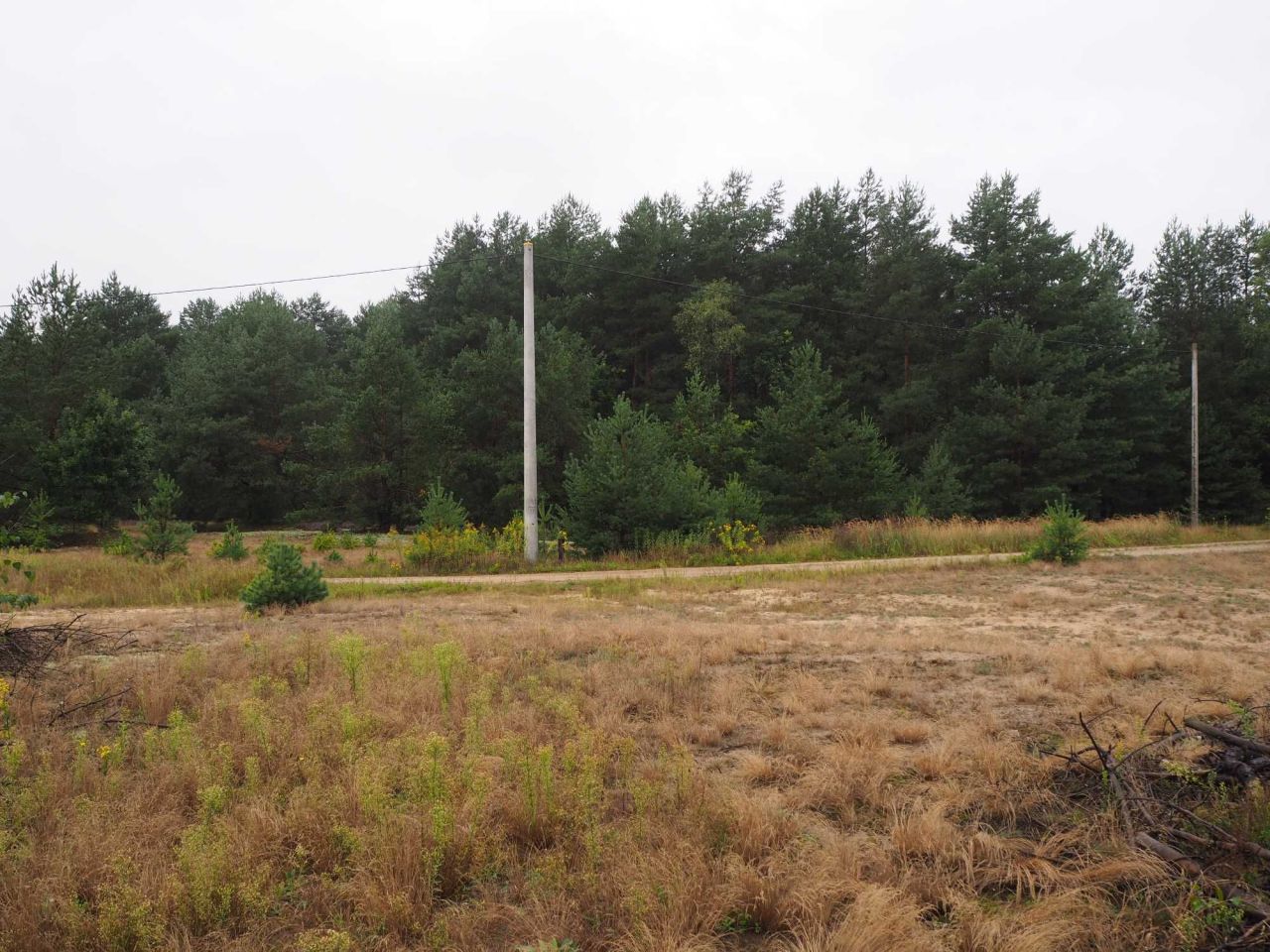 Działka rolno-budowlana Kąty-Miąski Flakowizna. Zdjęcie 4