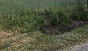 Działka rolno-budowlana Cekanów