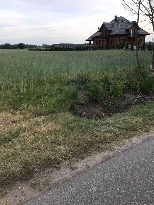 Działka rolno-budowlana Cekanów. Zdjęcie 2