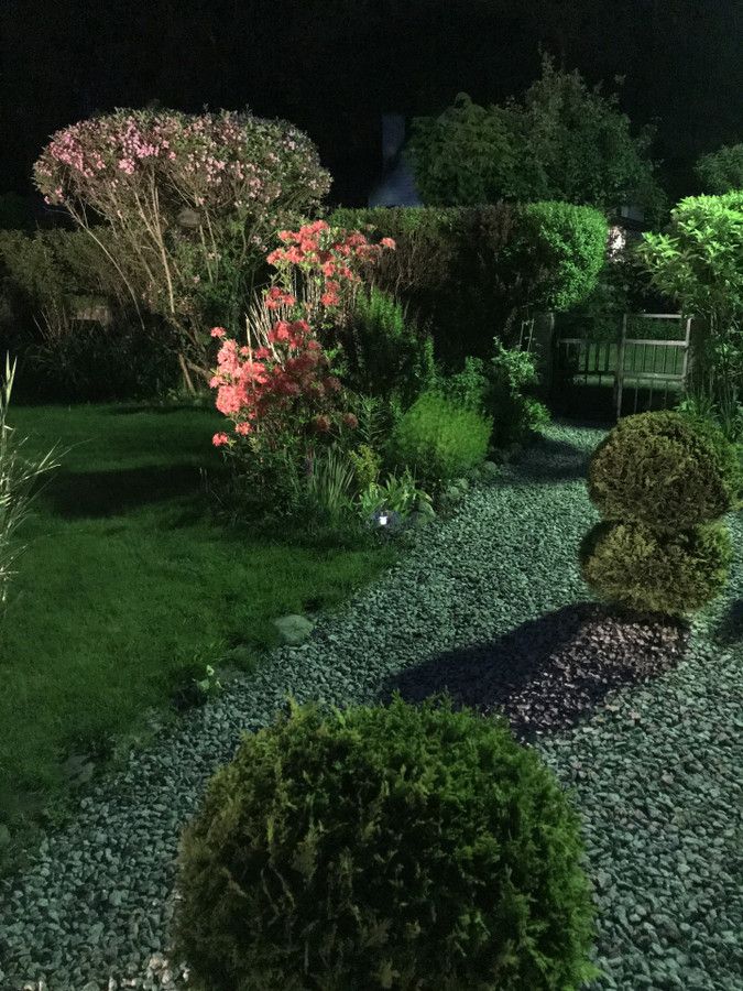 Działka rod Prawda. Zdjęcie 23