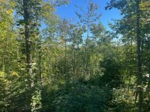 Działka budowlana Kamionna. Zdjęcie 2