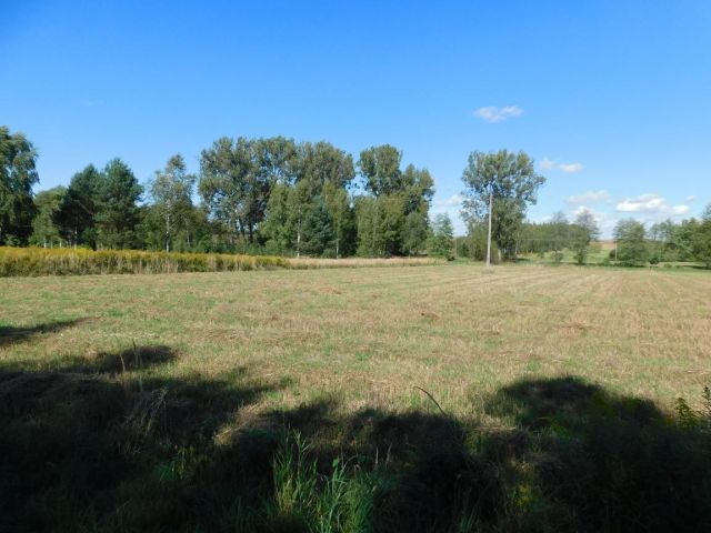 Działka rolna Galów Zagosiek. Zdjęcie 11