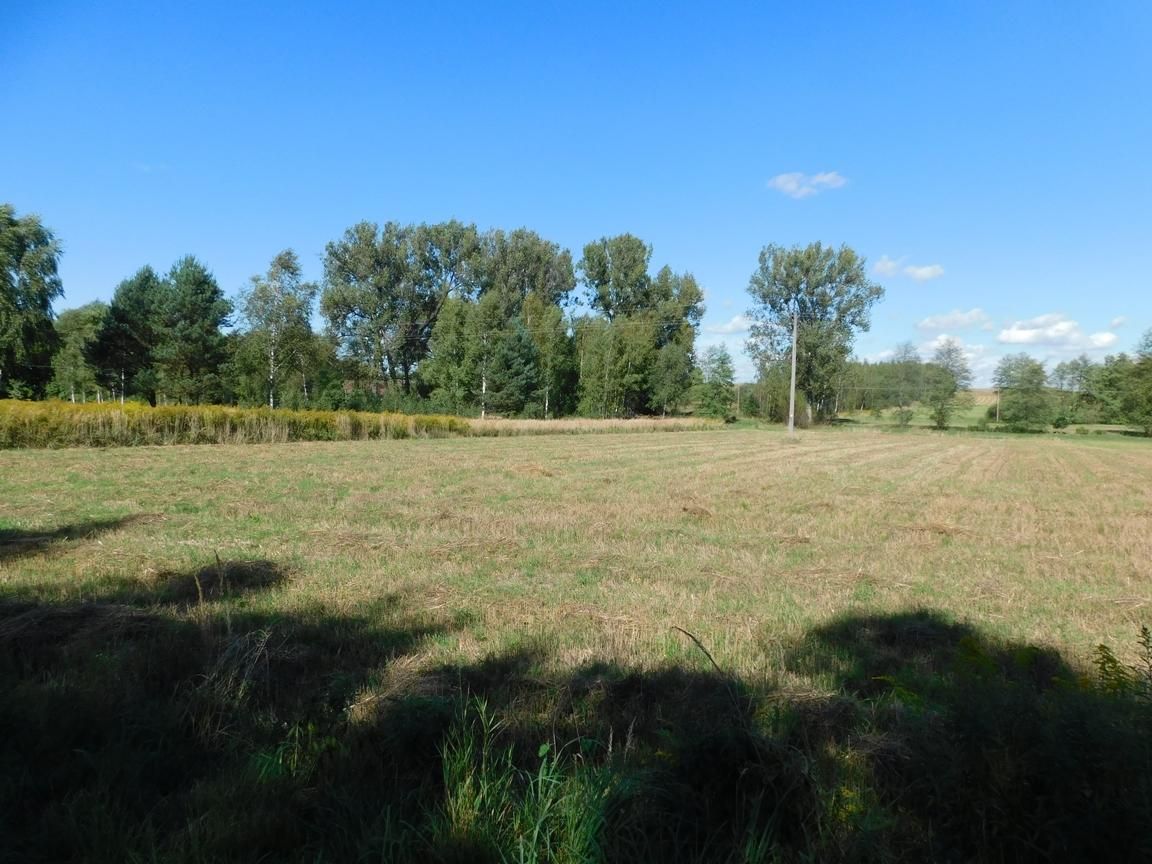 Działka rolna Galów Zagosiek. Zdjęcie 11