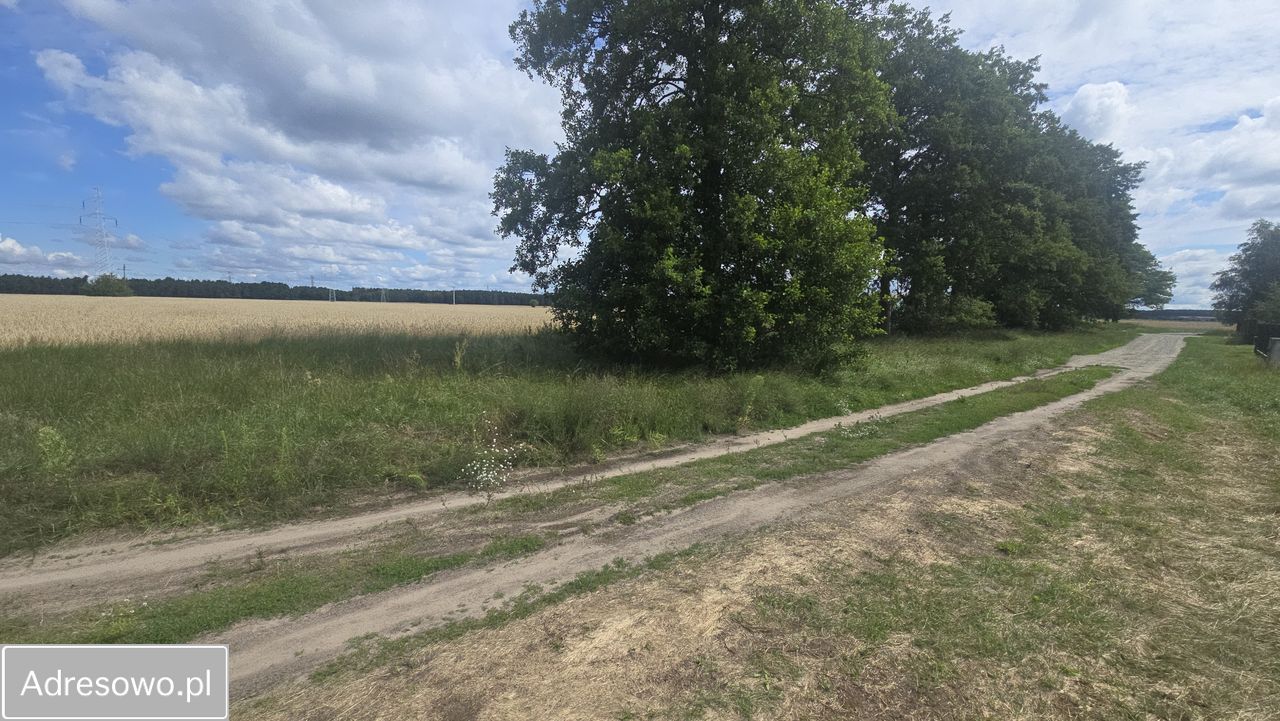 Działka budowlana Kruszyn Krajeński, ul. Zbożowa. Zdjęcie 4
