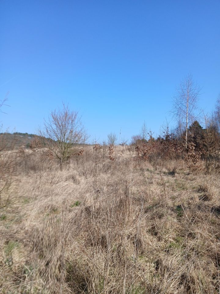 Działka rolno-budowlana Widuchowa, ul. Nadodrzańska. Zdjęcie 10