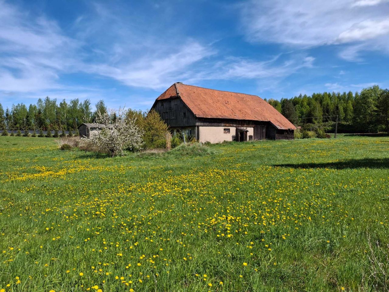 Działka siedliskowa Kukowo