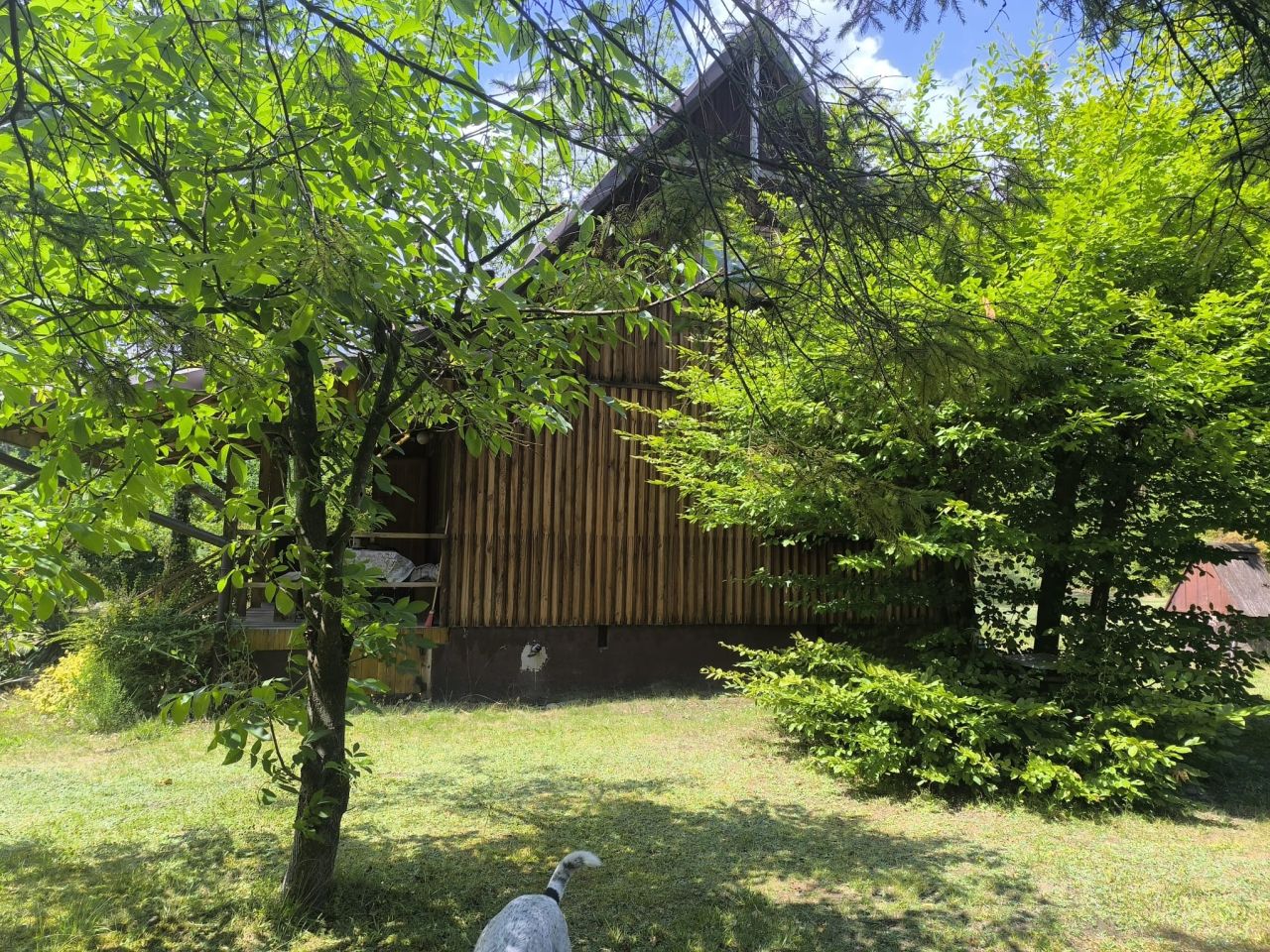 dom wolnostojący, 2 pokoje Wola Cyrusowa-Kolonia. Zdjęcie 8