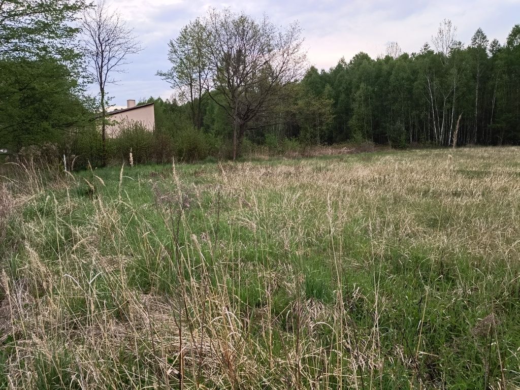 Działka budowlana Strzała. Zdjęcie 3