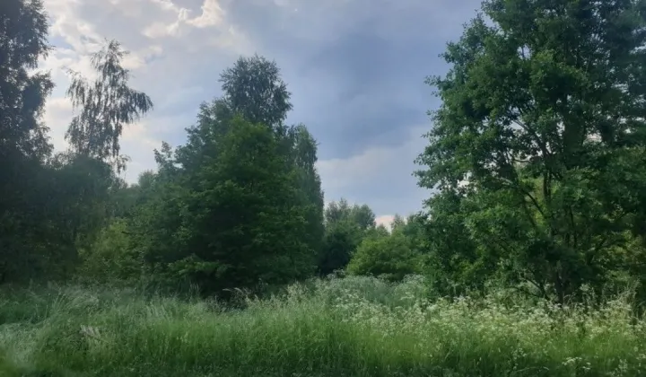 Działka budowlana Łochów, ul. Modrzewiowa