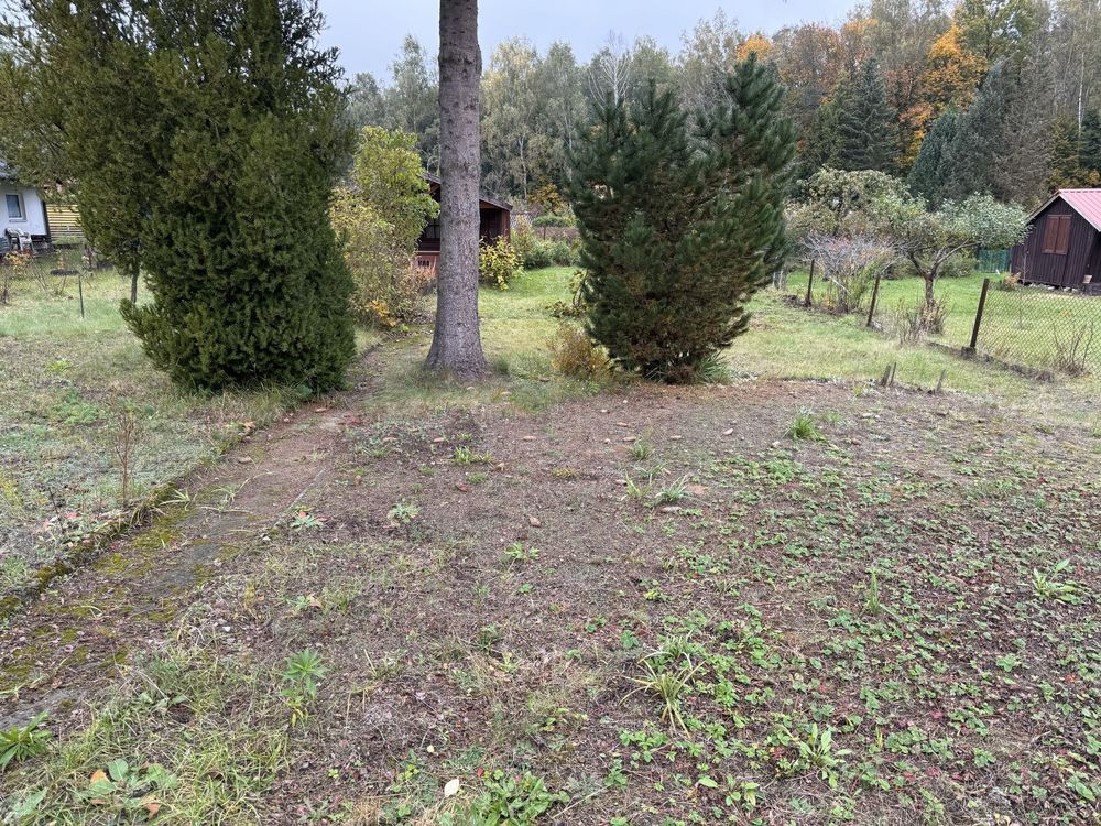 Działka rod Wadąg. Zdjęcie 3