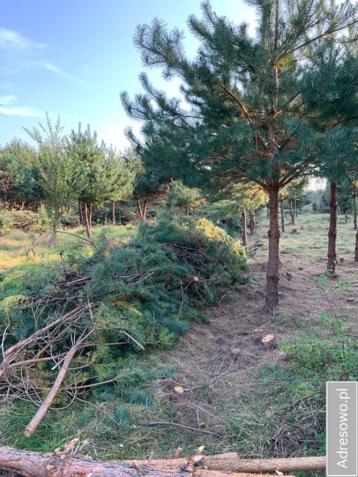 Działka rekreacyjna Wytyczno. Zdjęcie 5