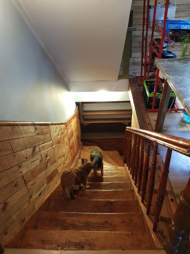 dom wolnostojący, 7 pokoi Chocieszów. Zdjęcie 14