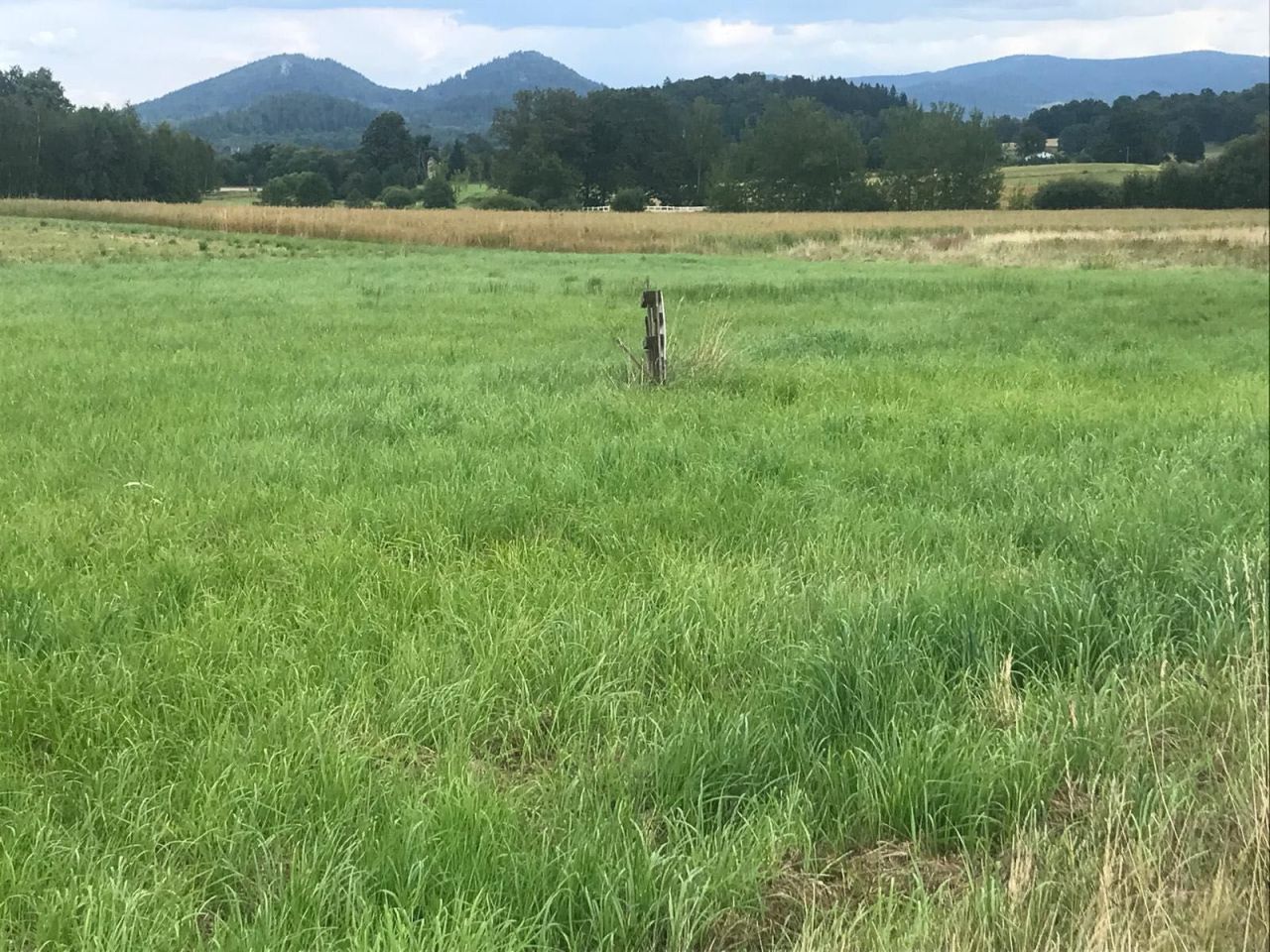 Działka budowlana Łomnica. Zdjęcie 7