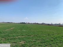 Działka budowlana Grądzik. Zdjęcie 3