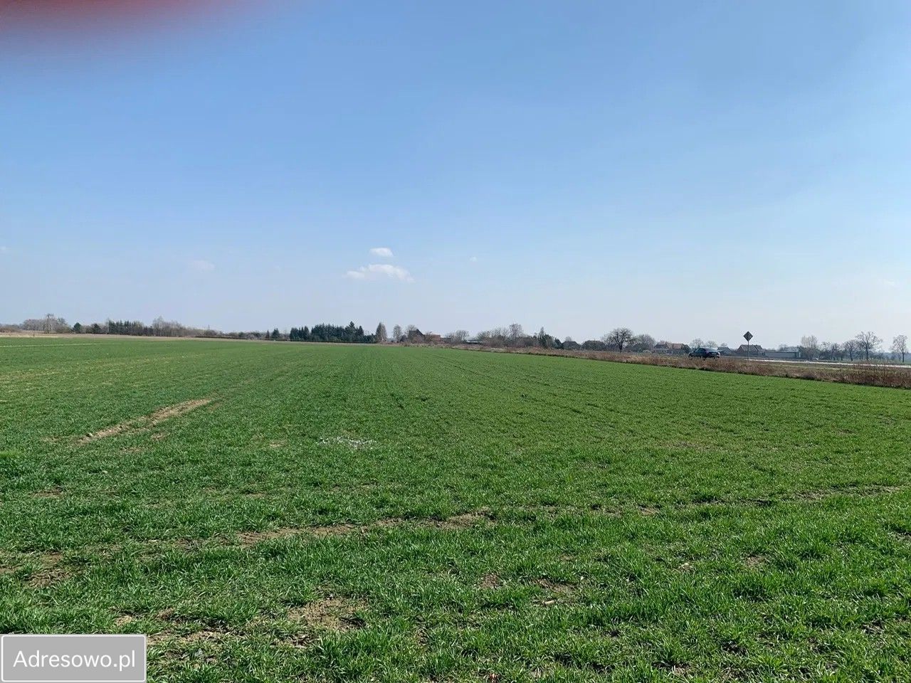 Działka budowlana Grądzik. Zdjęcie 4