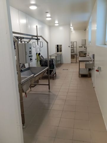 Nieruchomość komercyjna Osiecza Pierwsza. Zdjęcie 3