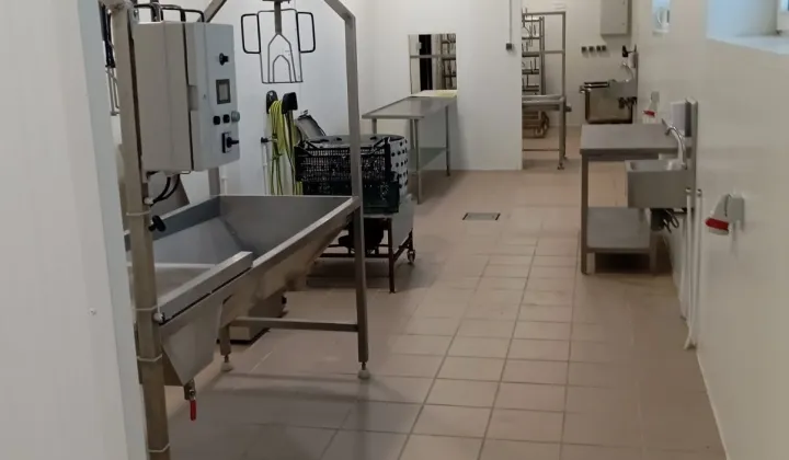 Nieruchomość komercyjna Osiecza Pierwsza