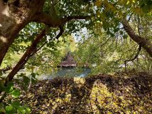 Działka rod Włocławek. Zdjęcie 2