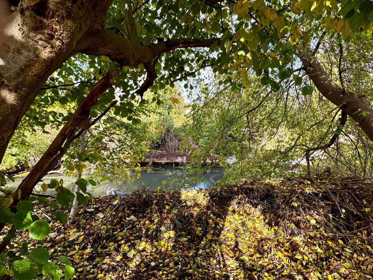 Działka rod Włocławek. Zdjęcie 3