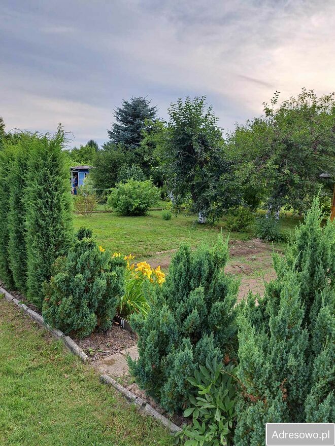 Działka rod Dąbrowica. Zdjęcie 4