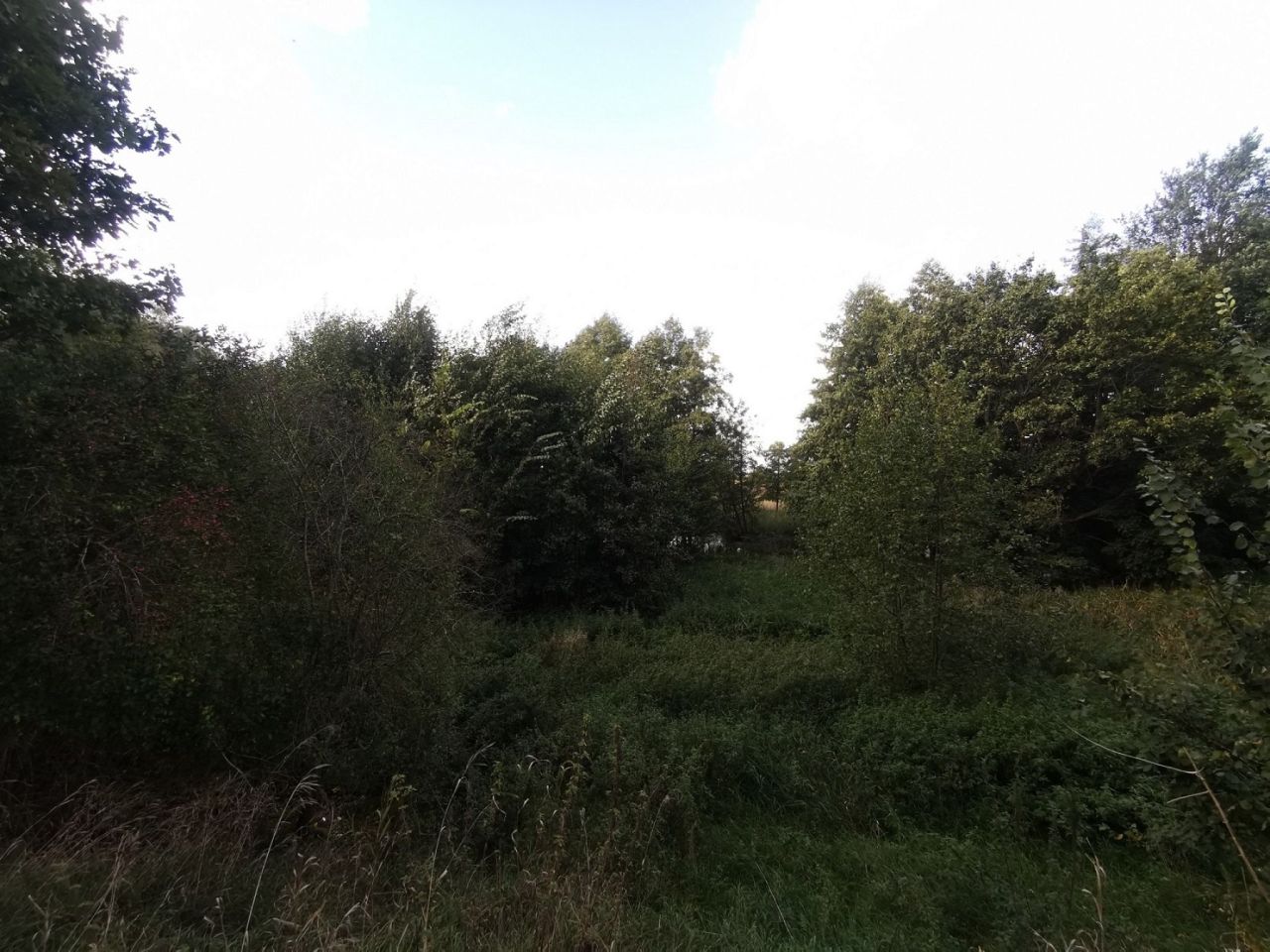 Działka inna Złotów, ul. ks. dr. Bolesława Domańskiego. Zdjęcie 16