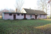 Działka rolno-budowlana Piaski. Zdjęcie 1