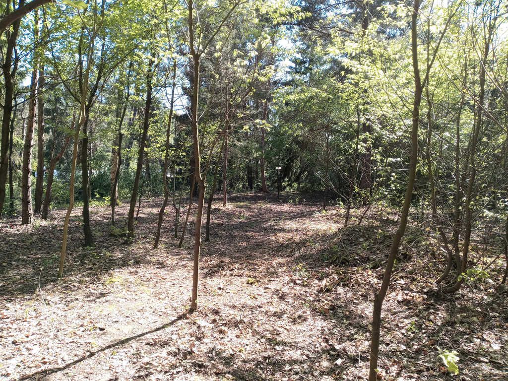 Działka budowlana Tartak Brzózki, ul. Letniskowa. Zdjęcie 7