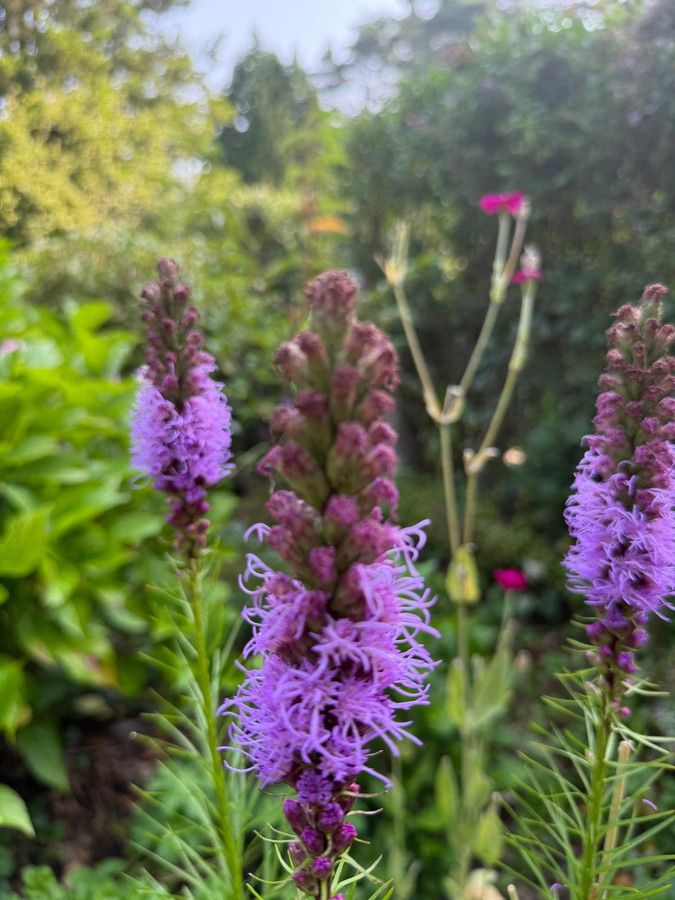 Działka rod Prawda. Zdjęcie 6