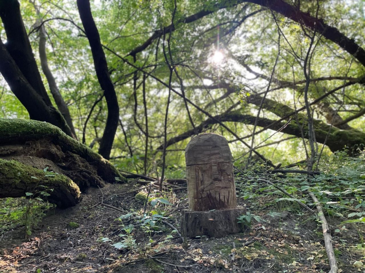 dom wolnostojący Piaski Duchowne. Zdjęcie 5