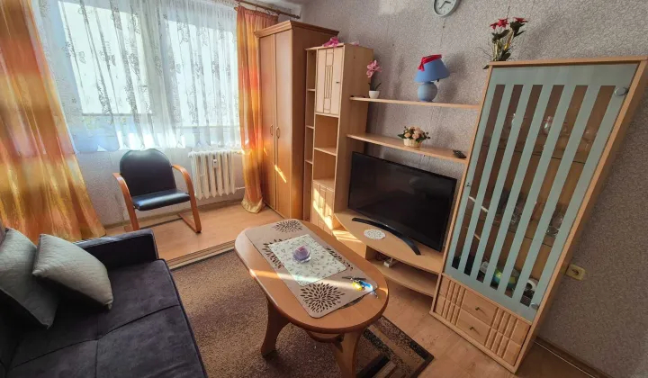 Mieszkanie 1-pokojowe Jasień