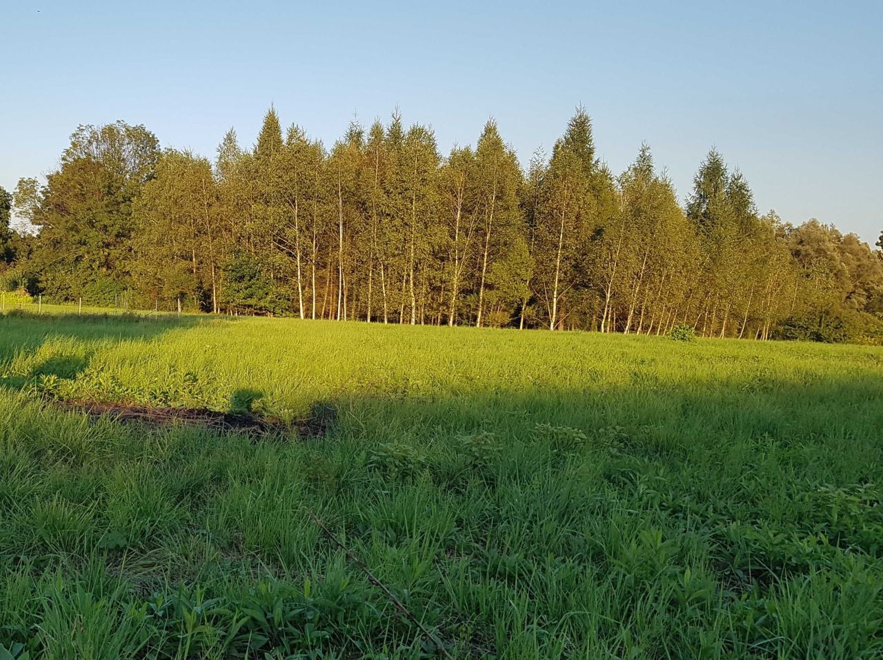 Działka budowlana Gorlice, ul. Biecka. Zdjęcie 3