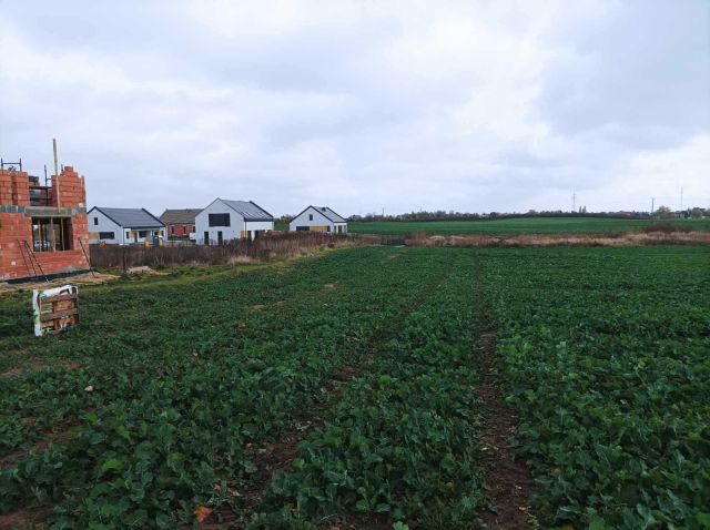 Działka budowlana Piekary, os. Porzeczkowe. Zdjęcie 1