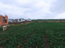 Działka budowlana Piekary, os. Porzeczkowe