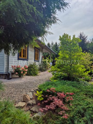 dom wolnostojący, 5 pokoi Dziwiszów. Zdjęcie 5