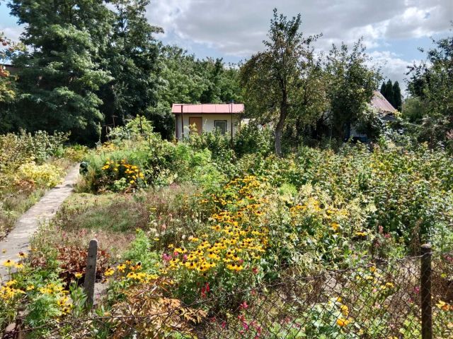 Działka rod Kędzierzyn-Koźle Koźle, ul. Kozielska. Zdjęcie 1