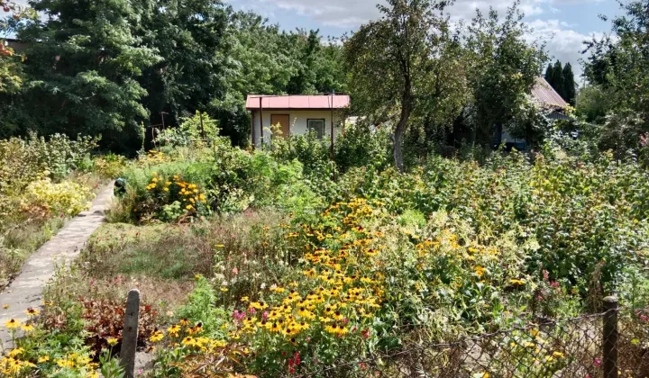 Działka rod Kędzierzyn-Koźle Koźle, ul. Kozielska