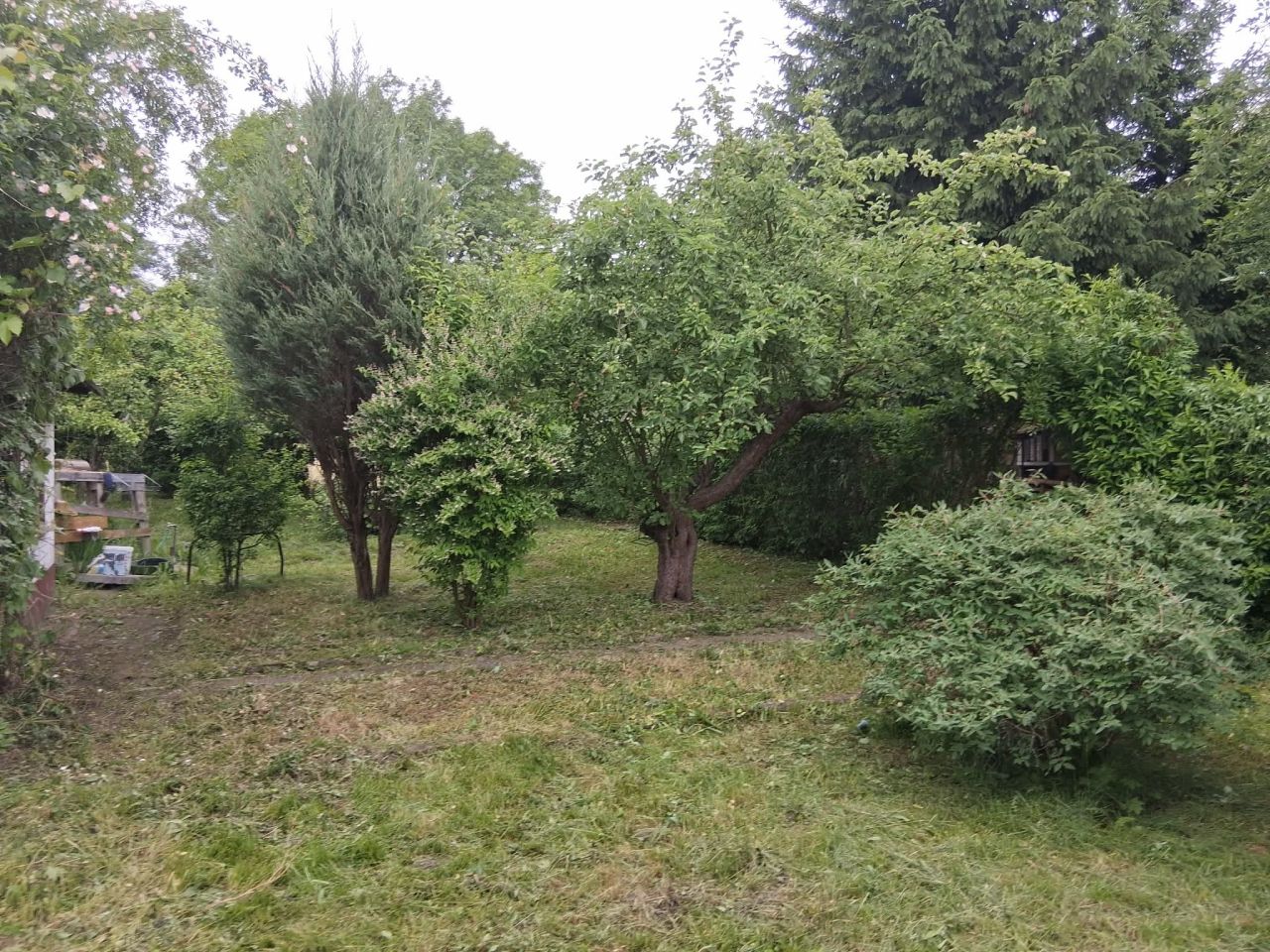 Działka rod Wałcz, ul. Bydgoska. Zdjęcie 4
