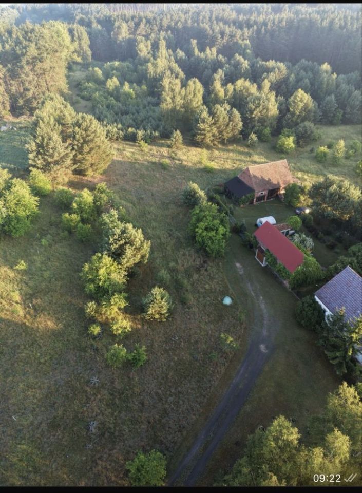 Działka budowlana Leśniów Wielki. Zdjęcie 5