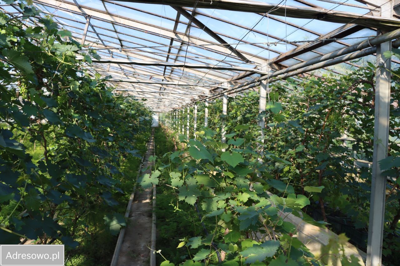 Działka rolna Antoniówka Świerżowska. Zdjęcie 4