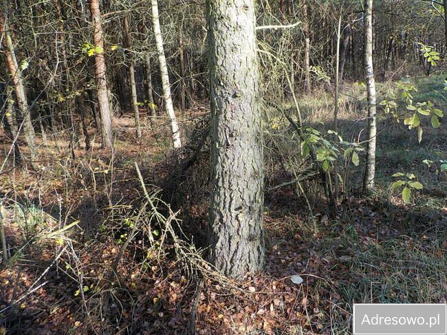 Działka Ludowice. Zdjęcie 4