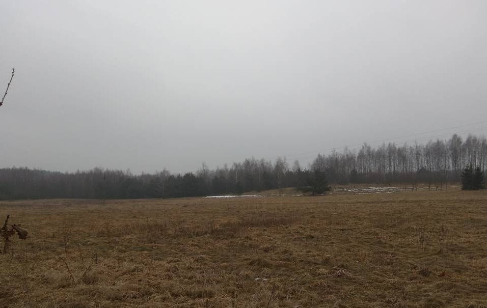 Działka siedliskowa Osuchów, ul. Okrężna. Zdjęcie 3