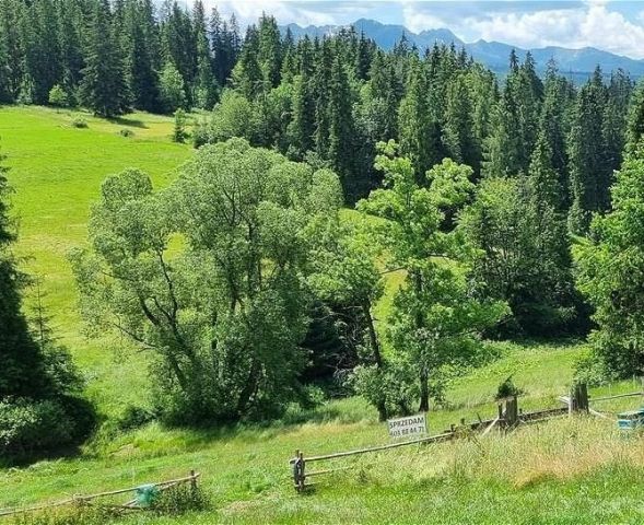 Działka budowlana Rzepiska Grocholów-Potok, ul. Potok Grocholów. Zdjęcie 1